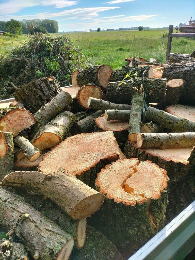 Haardhout van Albert — foto 3