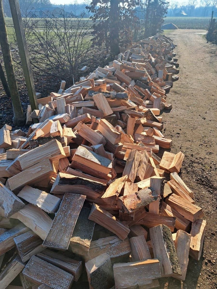 Haardhout van Andre — foto 2