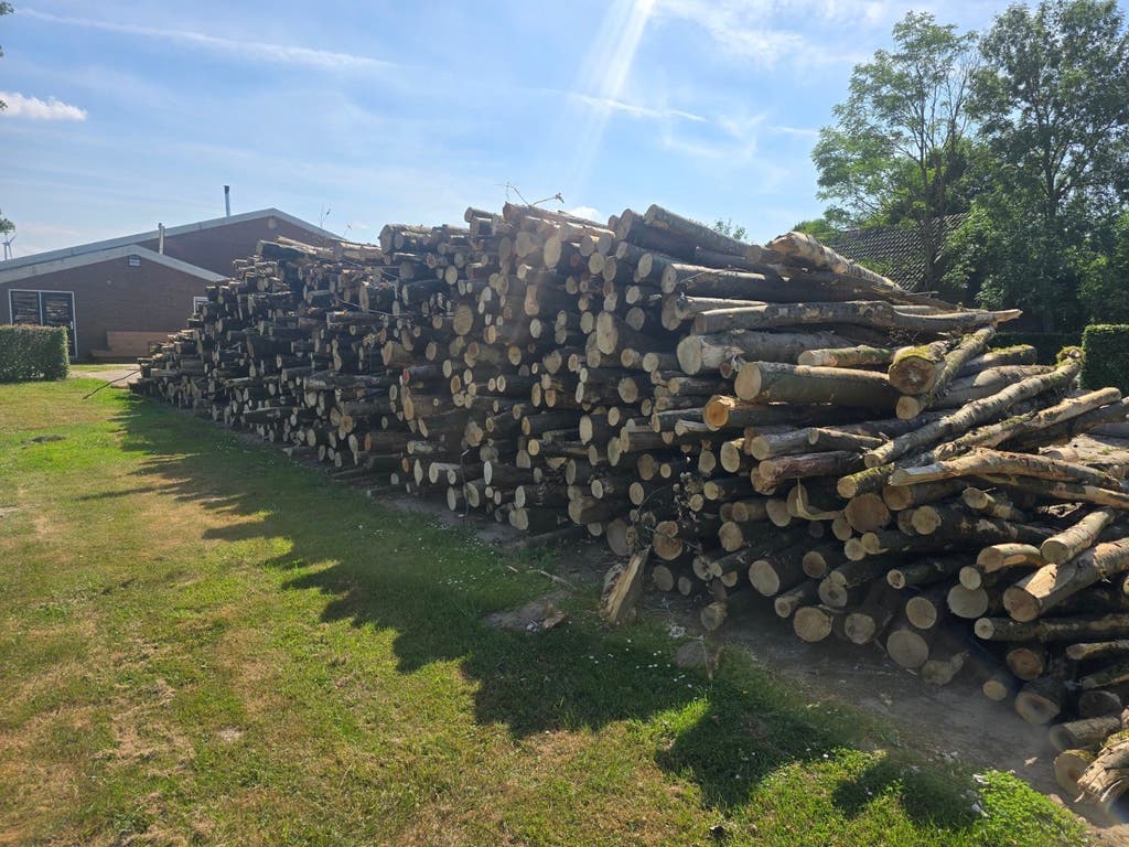 Haardhout van Bvw Boomverzorging — foto 3