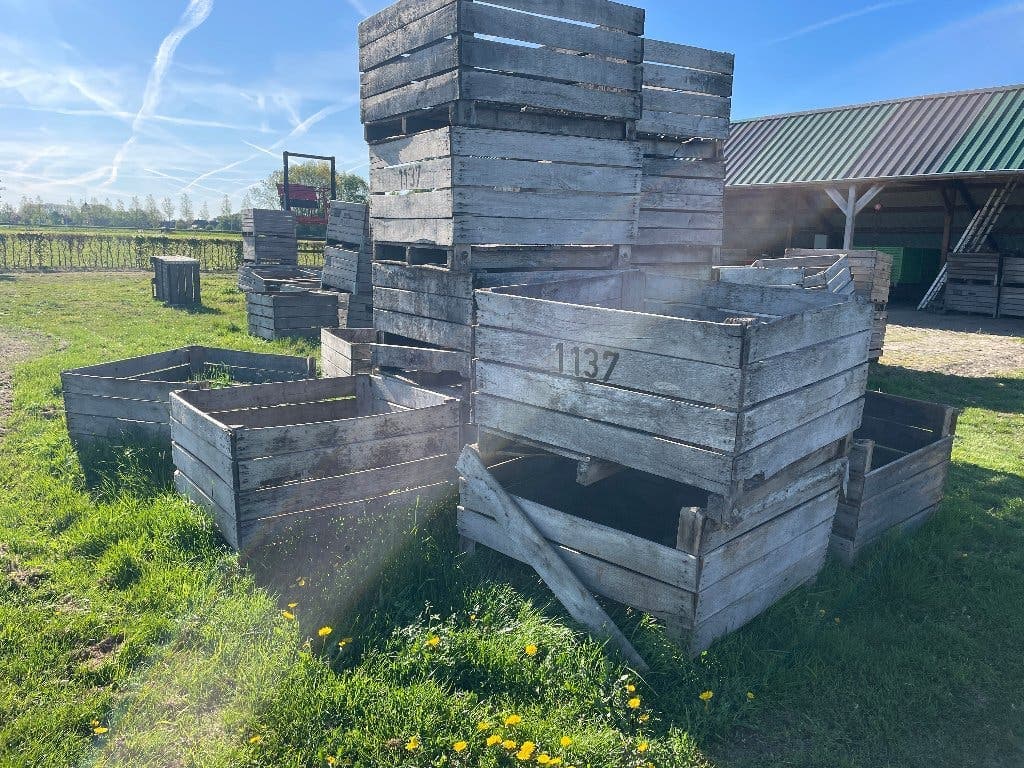 Haardhout van Frans — foto 4