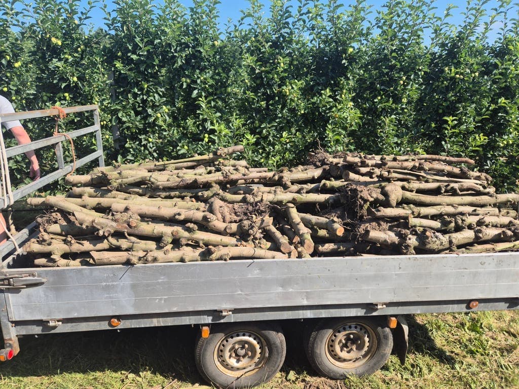 Haardhout van games — foto 1