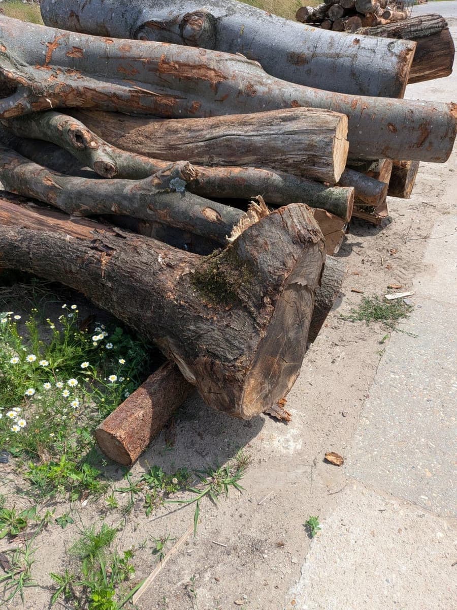 Haardhout van Handelsonderneming T vAlphen — foto 3
