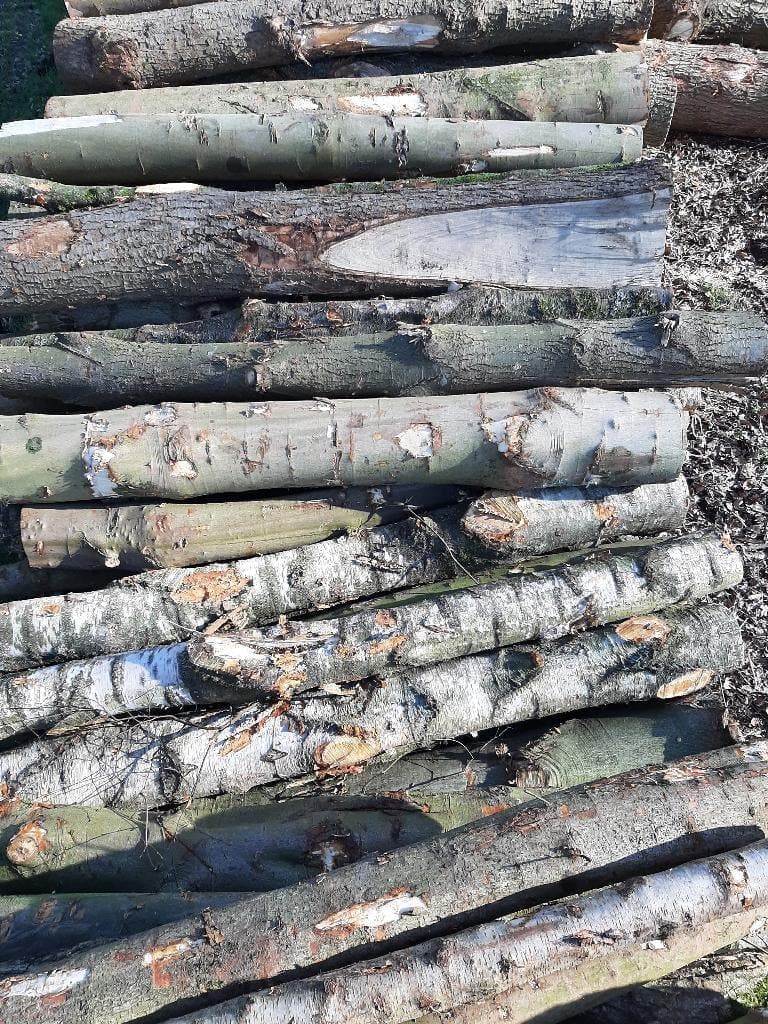 Haardhout van Harco. — foto 3