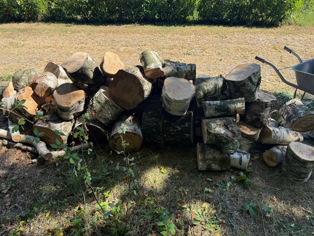 Haardhout van hugo — foto 1