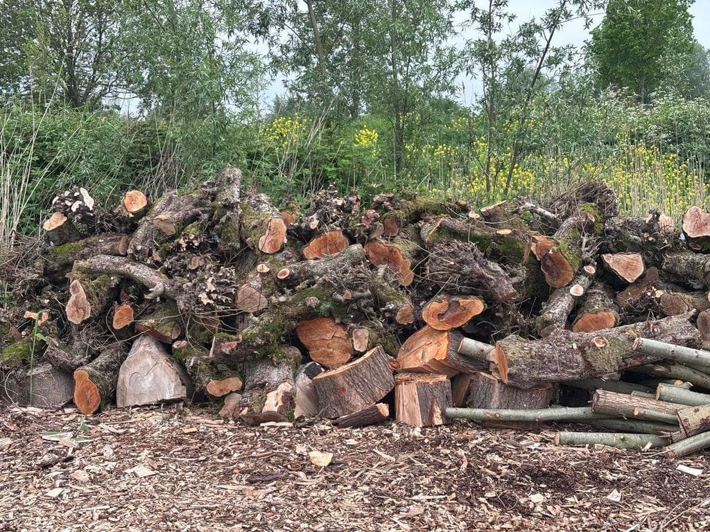 Haardhout van Joeri van Iperen — foto 1
