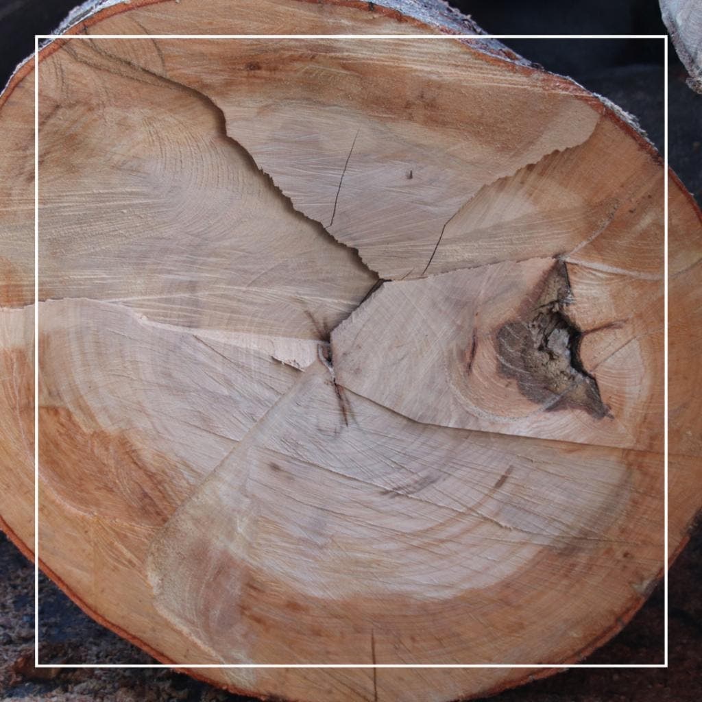 Haardhout van Limewoods — foto 2