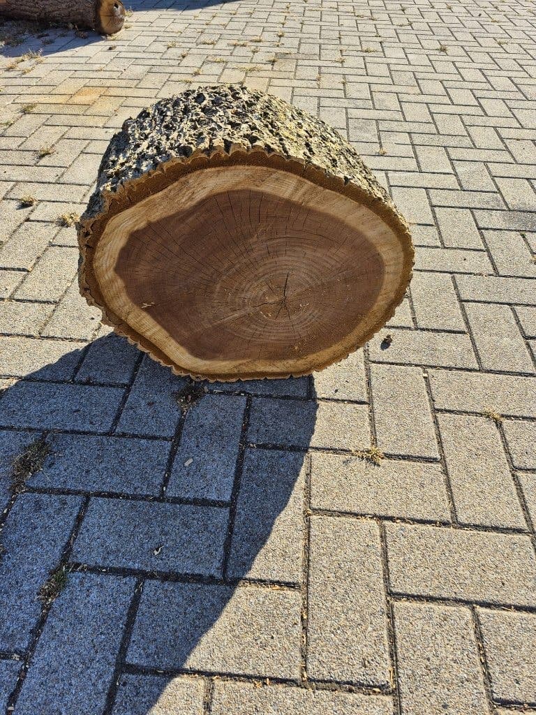 Haardhout van markteraa84 — foto 3
