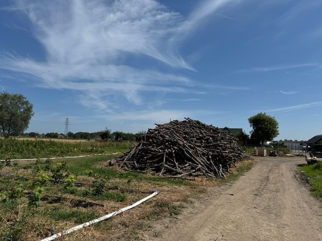 Haardhout van Robert Huibers (appelhout) — foto 2