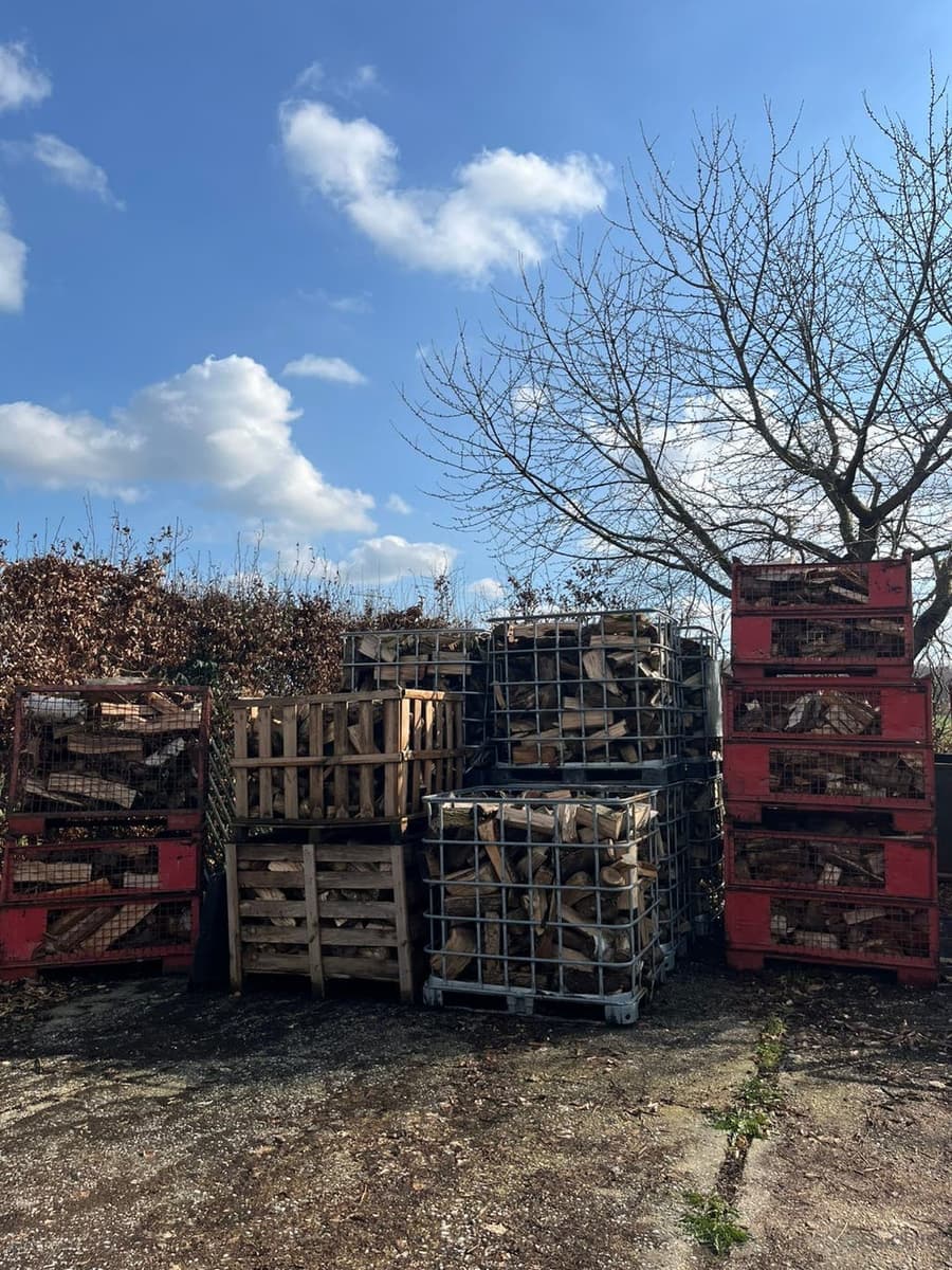 Haardhout van Ruben P — foto 2