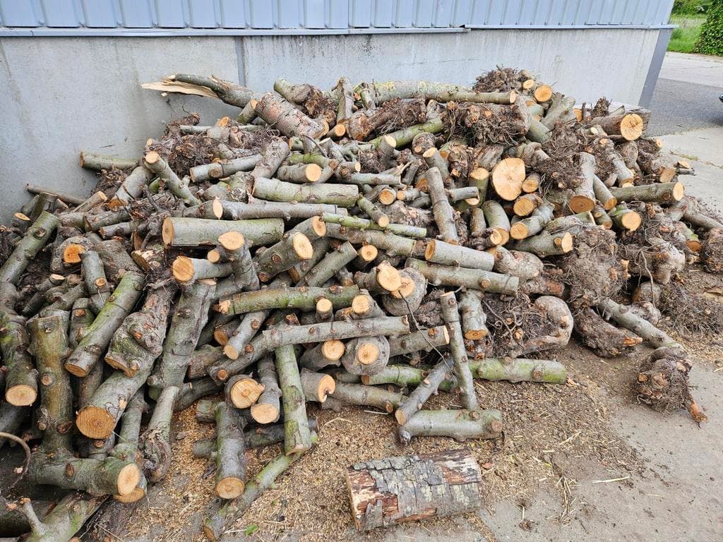 Haardhout van vos — foto 2